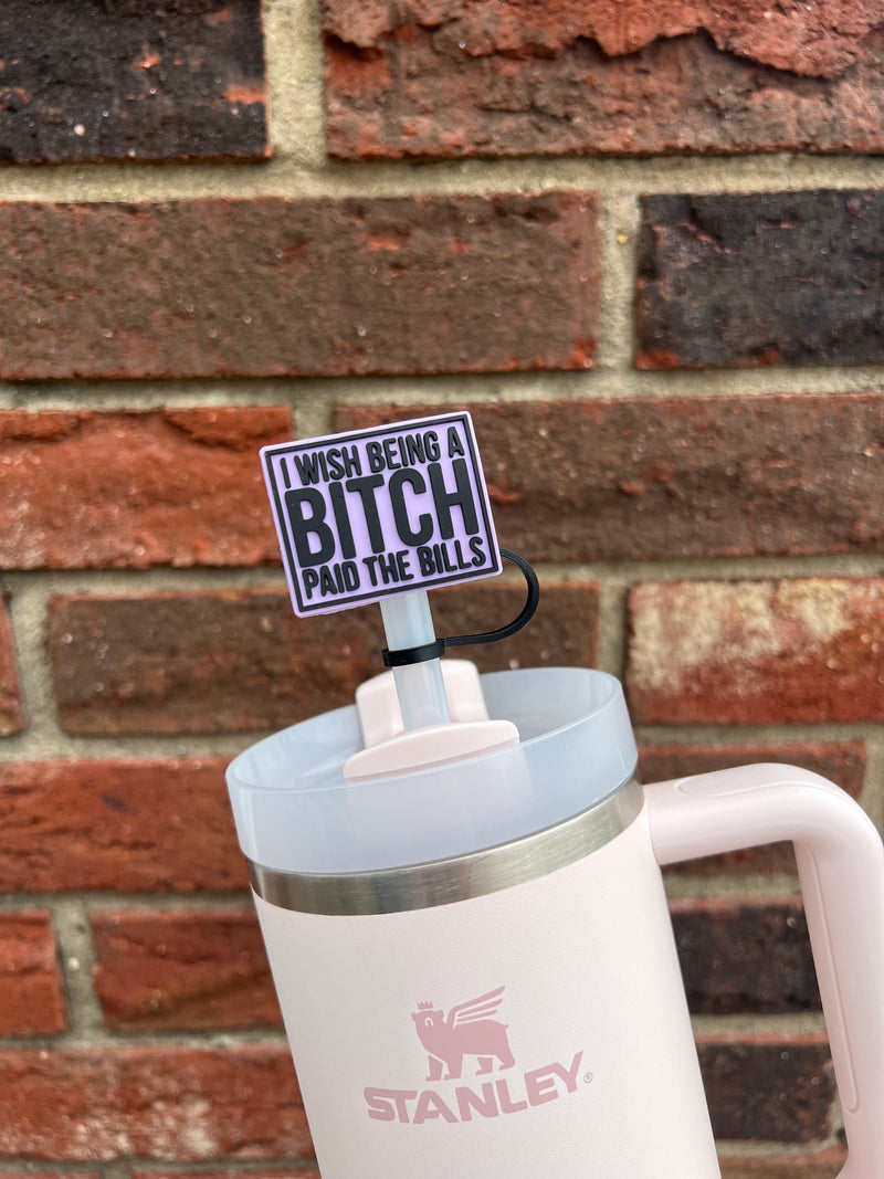 10mm Straw Topper- I wish being a b**ch paid the bills